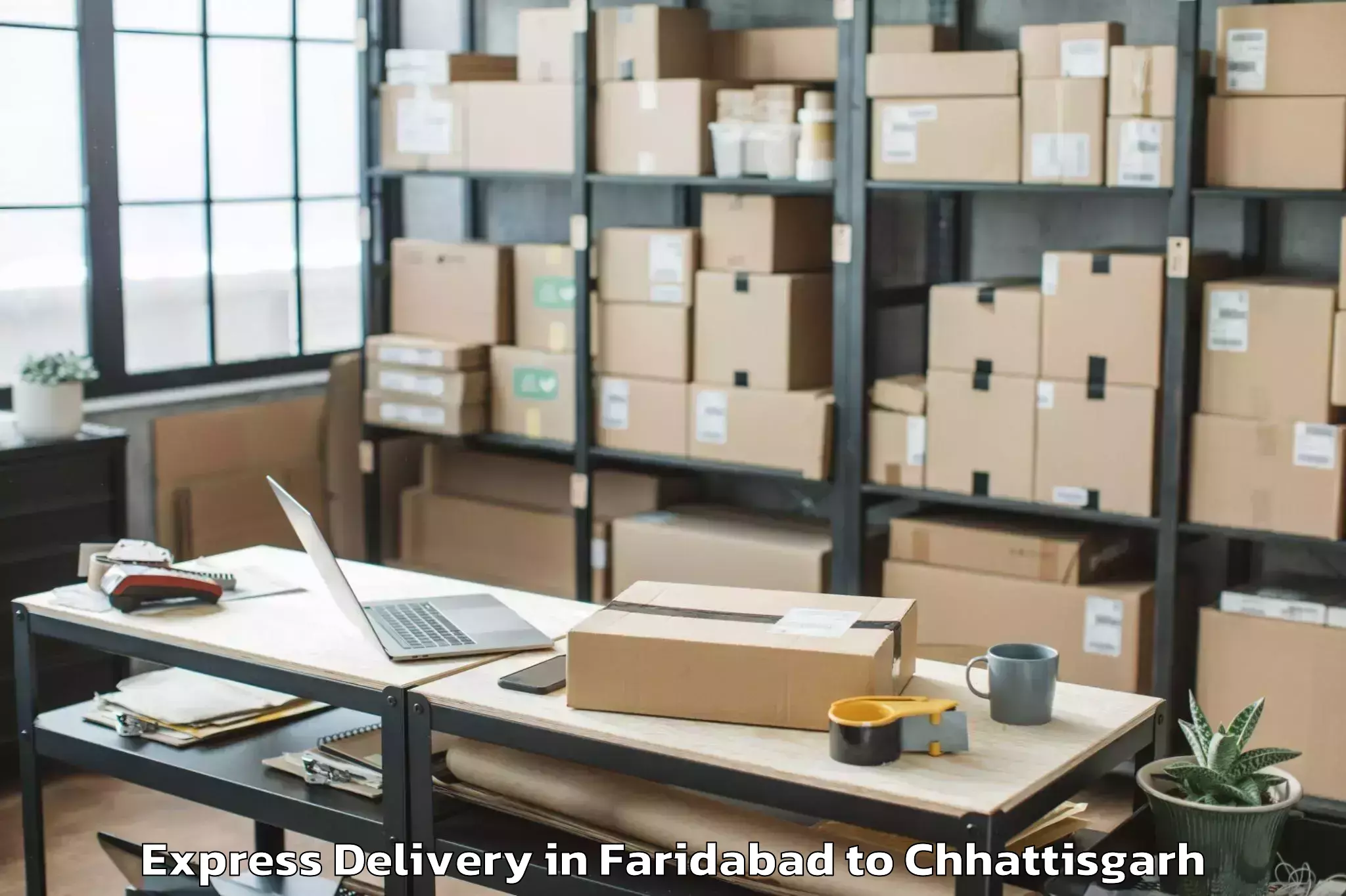 Trusted Faridabad to Bakavand Express Delivery